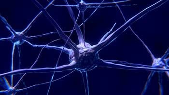 stroke-recovery-neuroplasticity